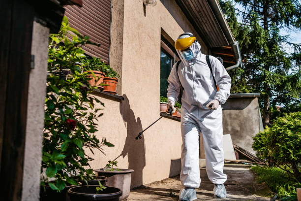 Best Wasp Removal Services  in Groveland, FL