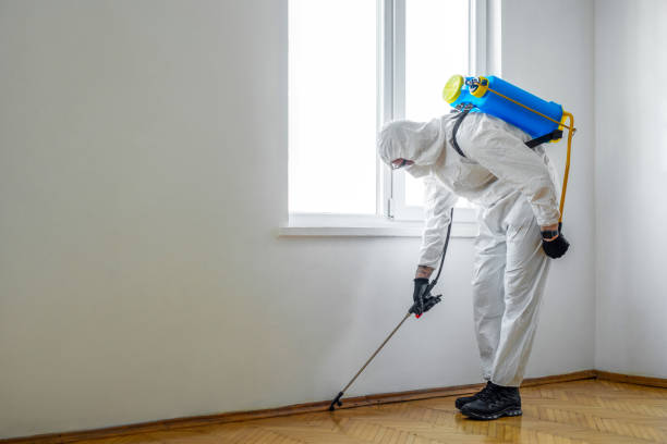 Best Best Pest Control Companies  in Groveland, FL